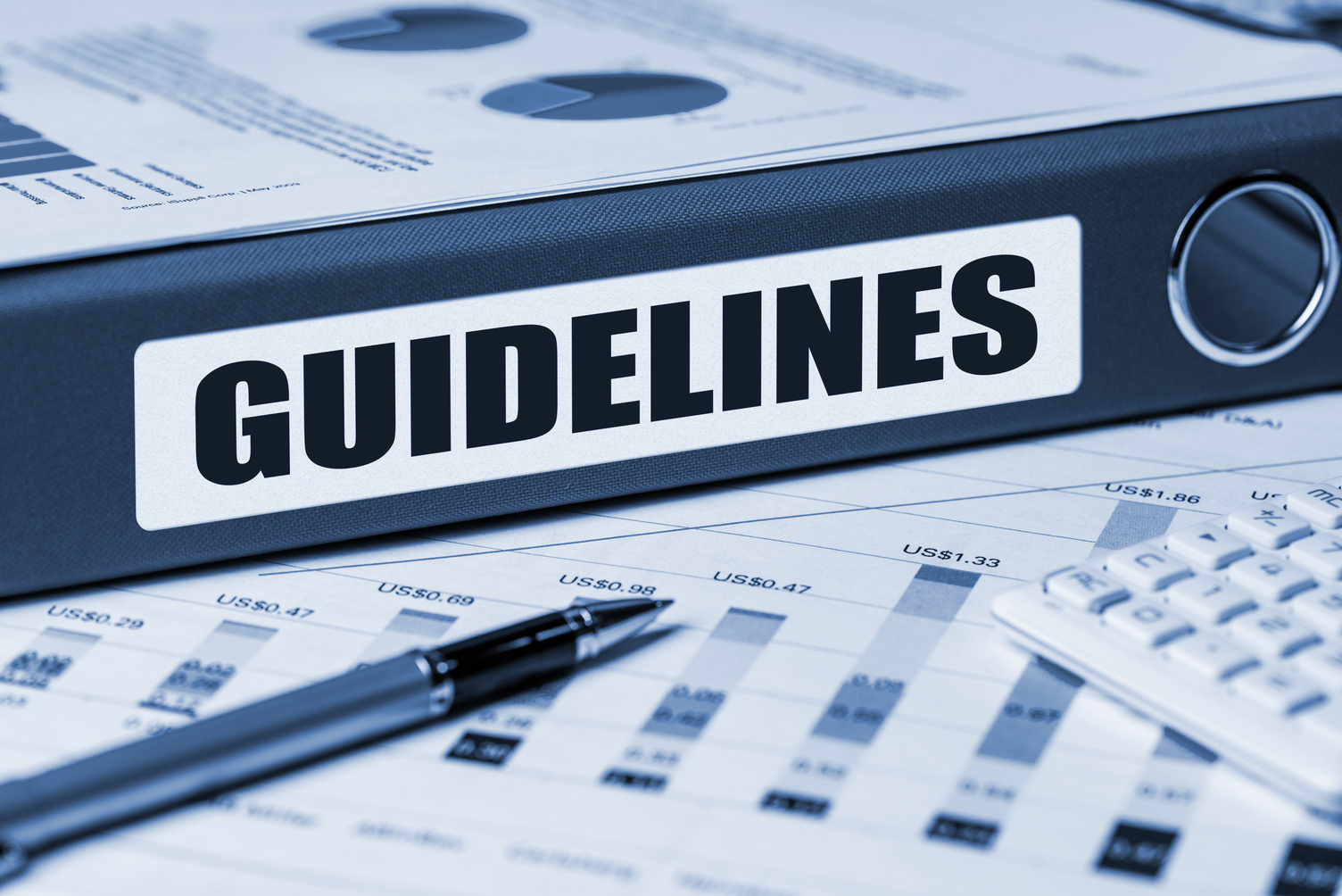 what-are-grant-guidelines