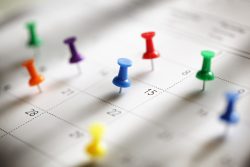 nonprofit editorial calendar