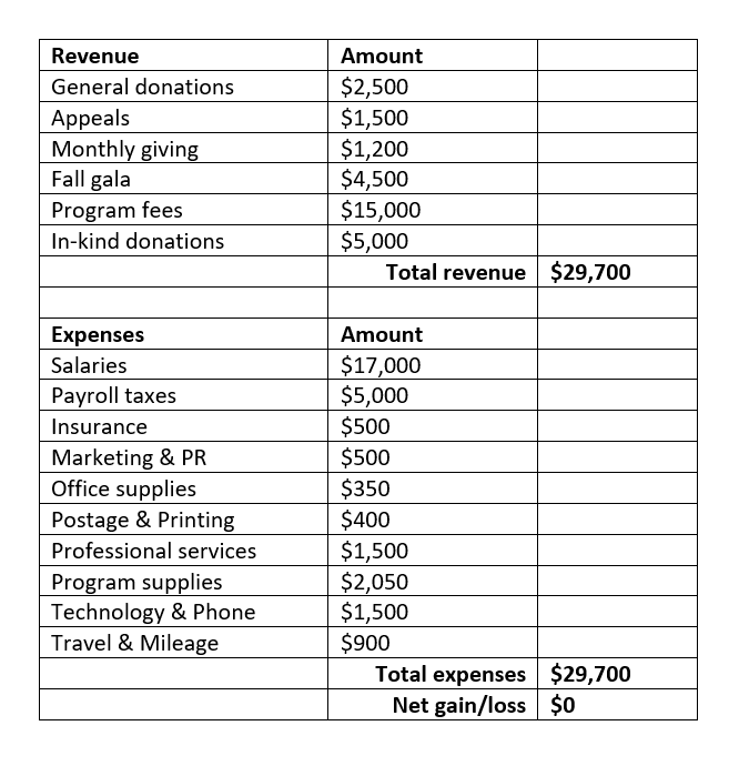 1 person 3000 dollar budget sample