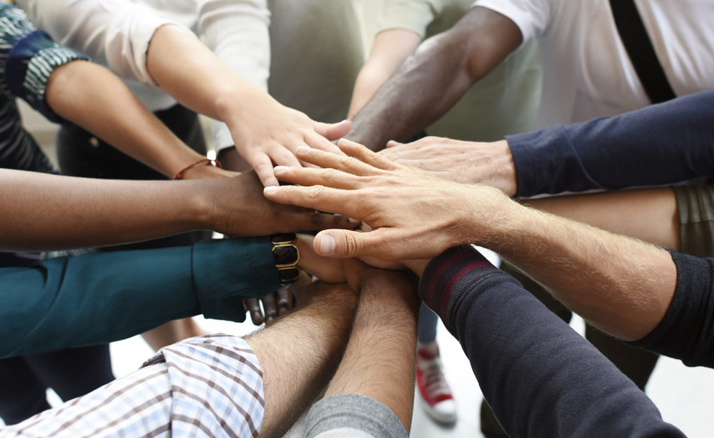 nonprofit board members