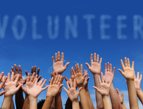 The New Nonprofit’s Guide to Creating a Volunteer Program