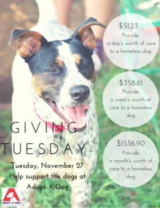 Giving Tuesday