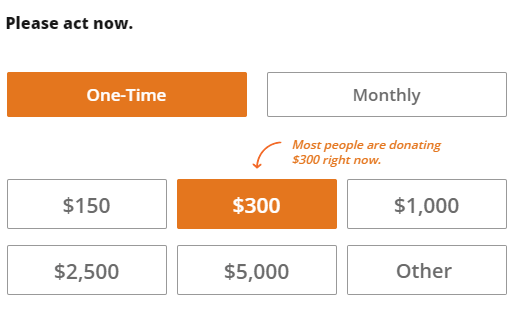CARE’s online donation page showing the highlighted $300 donation amount