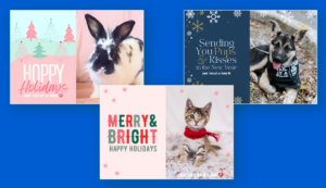 A collection of fundraising eCards from One Tail at a Time with animal-themed sentiments